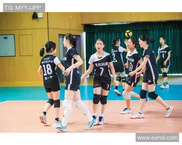 排球盛宴:深入解析南京排球队员的个人技能与战术运用 排球盛宴:深入解析南京排球队员的个人技能与战术运用