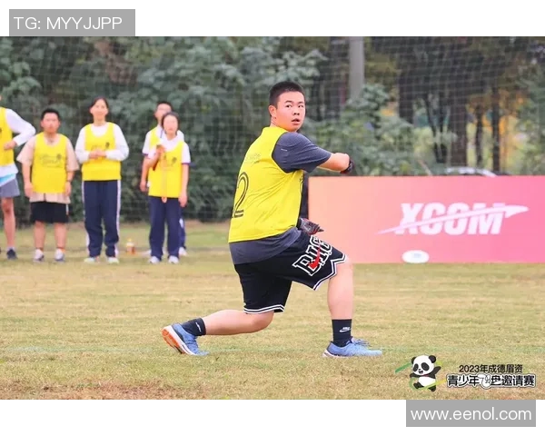 重庆飞盘队比赛经验分析与表现评估的深度研究与探讨 重庆飞盘队比赛经验分析与表现评估的深度研究与探讨