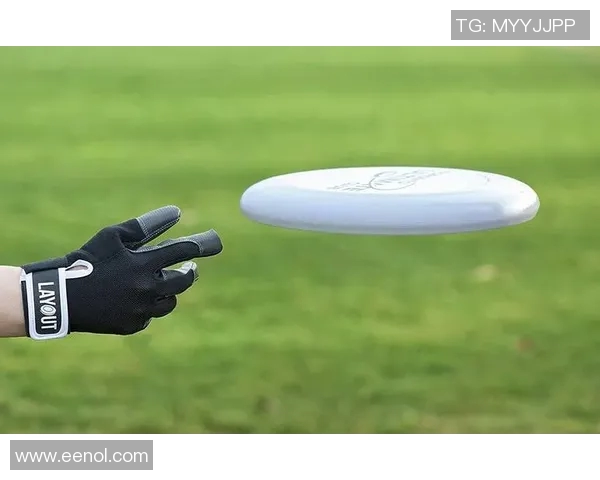 南京飞盘队战术革新引发热议探索飞盘运动新未来 南京飞盘队战术革新引发热议探索飞盘运动新未来