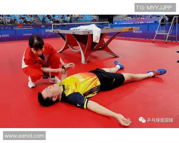 深入剖析上海乒乓球队近期状态及其对比分析的全景报告