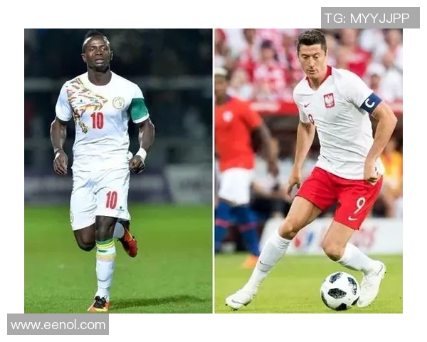 波黑与塞内加尔对决前瞻分析及比赛结果预测