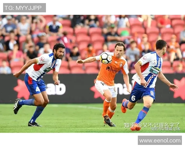 阿德莱德迎战惠灵顿期待精彩对决与精彩进球的足球盛宴 阿德莱德迎战惠灵顿期待精彩对决与精彩进球的足球盛宴